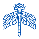 Entomology logo